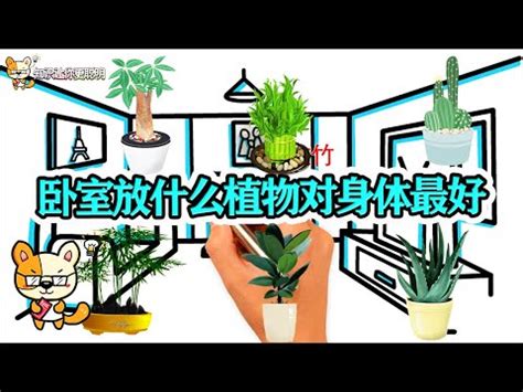 房間放刀劍|房間放刀劍有什麼禁忌？